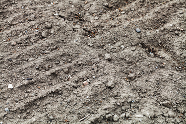 Similar image 11058193