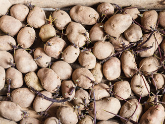 Similar image 11058447