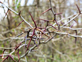 Similar image 11058472