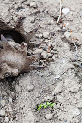 Similar image 11055266