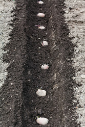 Similar image 11055271