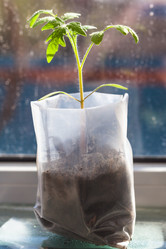 Similar image 11055791