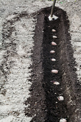 Similar image 11055793