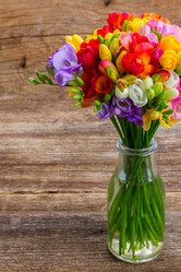 Similar image 11142704