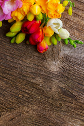 Similar image 11142708