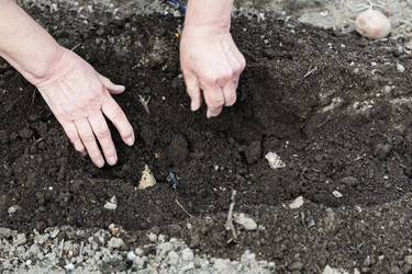 Similar image 11057326