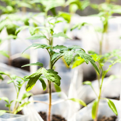 Similar image 11057343