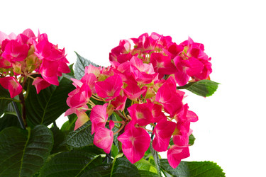 Similar image 11143764