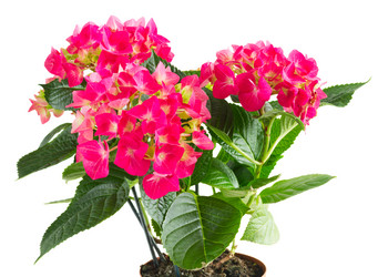 Similar image 11143847