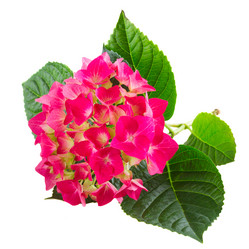 Similar image 11143848