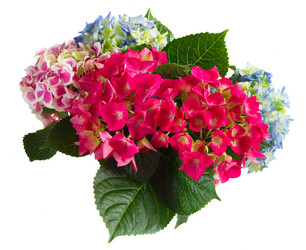 Similar image 11143849