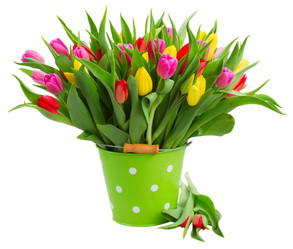 Similar image 11143889