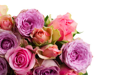 Similar image 11143910