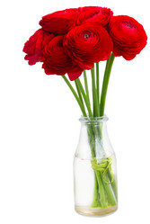 Similar image 11143912