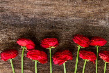 Similar image 11143931