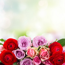 Similar image 11143935