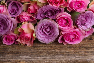 Similar image 11143987