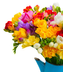 Similar image 11143951