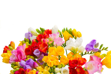 Similar image 11143952