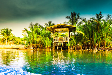 Similar image 11145495