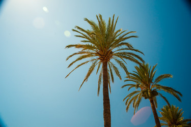 Similar image 11144706