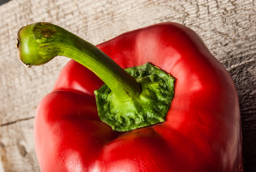 Similar image 11144741