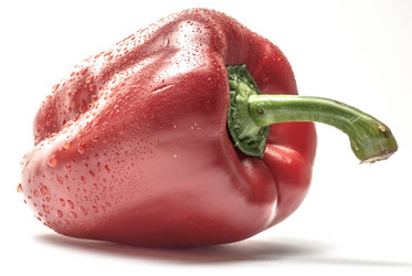 Similar image 11144745