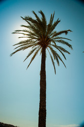 Similar image 11144758