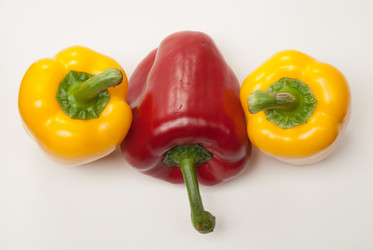 Similar image 11144761