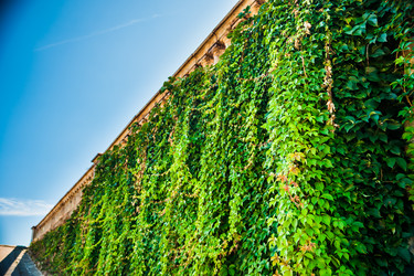 Similar image 11144763