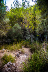 Similar image 11144777