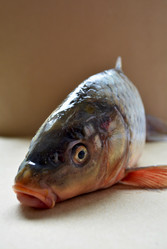 Similar image 11051191