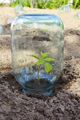 Similar image 11051195