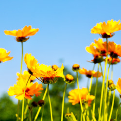 Similar image 11067272