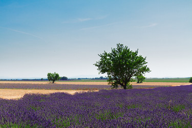 Similar image 11142610