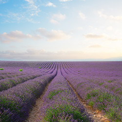 Similar image 11142646