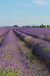 Similar image 11142647