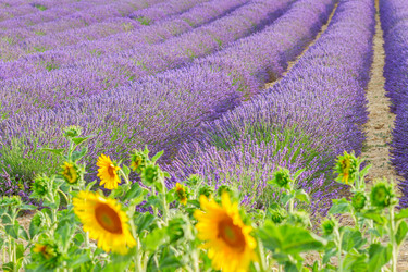 Similar image 11143512