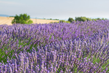 Similar image 11143569