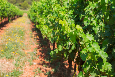 Similar image 11143664