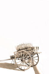 Similar image 11068082