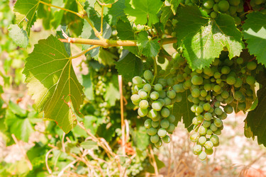 Similar image 11143686