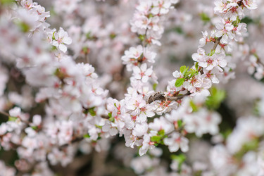 Similar image 11051225