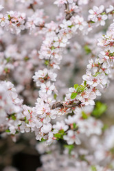 Similar image 11051226