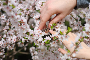 Similar image 11051228