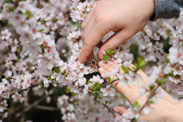 Similar image 11051229