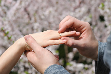 Similar image 11051230