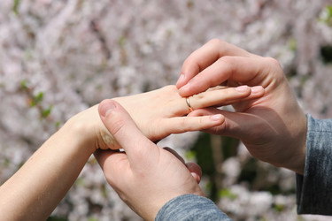 Similar image 11051231