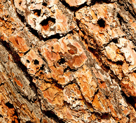 Similar image 11071337