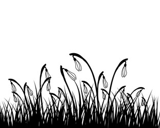 Similar image 11076100